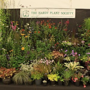 Planting display