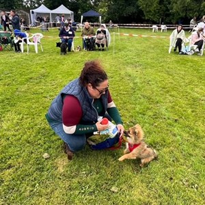 Whixall Social Centre Whixall Companion Dog Show 2024