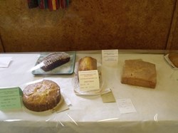 2016 Flower and Produce Show