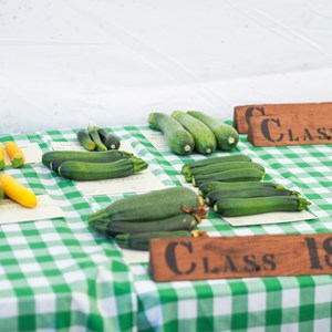 HBT Horticultural Society Photographs 2025