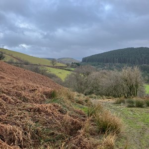 Hereford Mountain Club Our recent activities