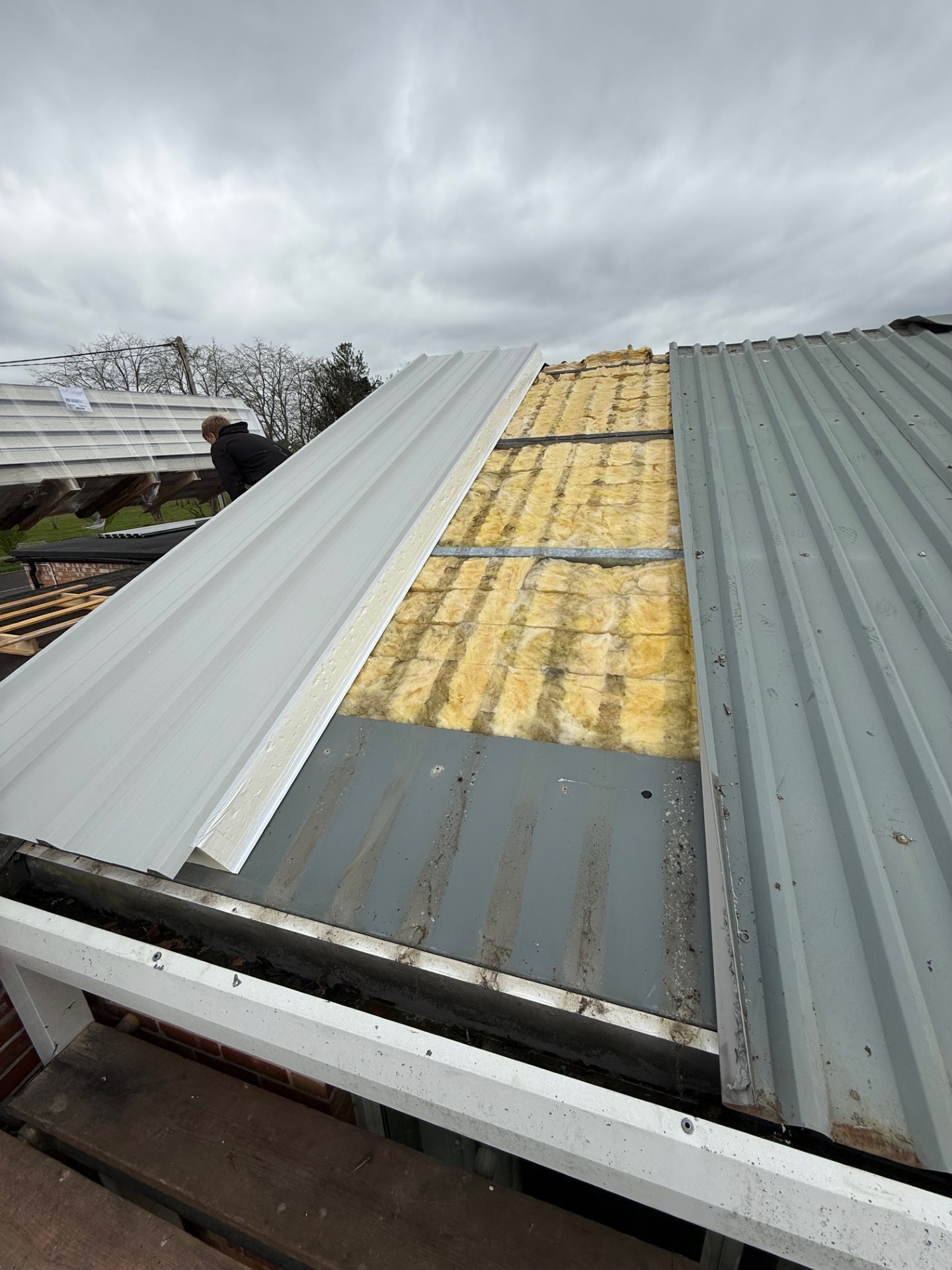 New roof sheeting being laid
