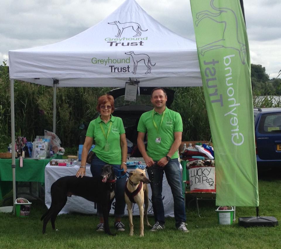 Volunteer and Hounds at Moreton Park