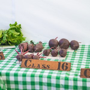 HBT Horticultural Society Photographs 2025