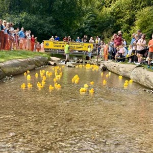 Louth & District Lions Duck Race