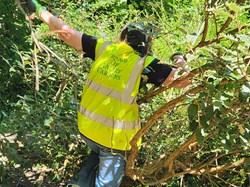 The Friends of Scarborough Valley Gardens Home
