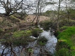 Cannock Wood Parish Council Nature and wildlife
