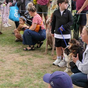 Goodworth Clatford Parish Council  Fete 2026 photos