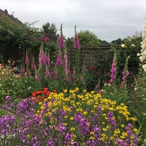 Bethersden Gardeners Society Photo Gallery