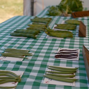 HBT Horticultural Society Photographs 2026
