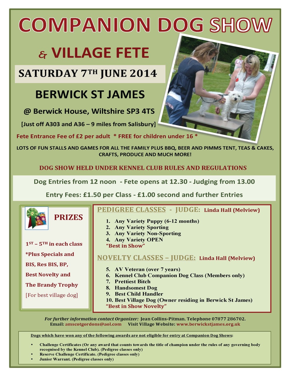 Berwick St James Parish Duck Race - 8 June 2014