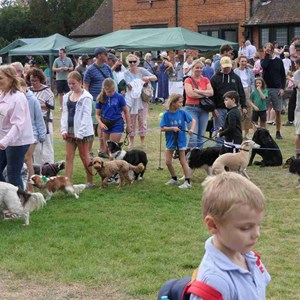 Goodworth Clatford Parish Council  Fete 2026 photos