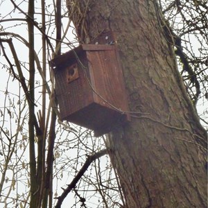 Bird nesting box in situ at Long Break