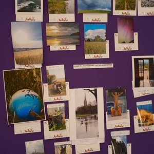 HBT Horticultural Society Photographs 2026