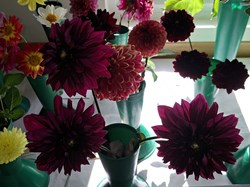 Bucklebury and Marlston Horticultural Society Autumn Show Report 2026