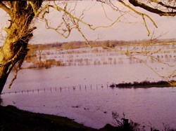 River Eden in flood