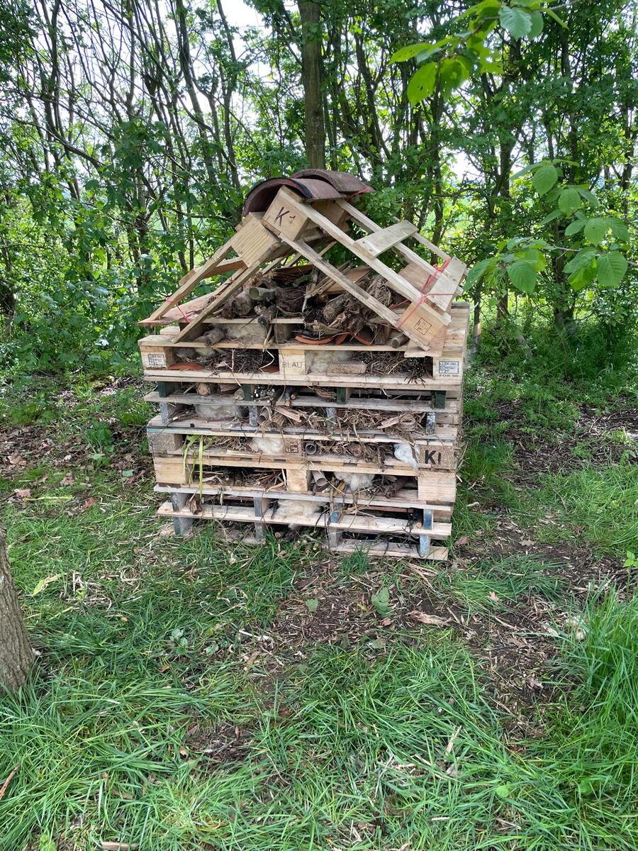 Astwood's first Bee 'n' Bee
