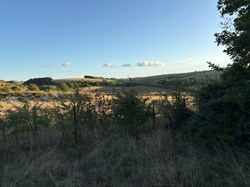 Coombe Bissett Parish Council Village Hall & Field