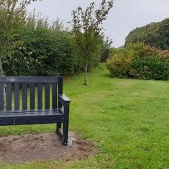 Ponsonby New Bench – New seating installed for public use.