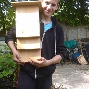Bat Box making with Critchill School and Frome Town Council