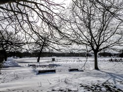 MINTING, GAUTBY & DISTRICT HERITAGE SOCIETY PhotoGallery
