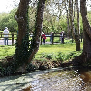 The terrain at The Basins