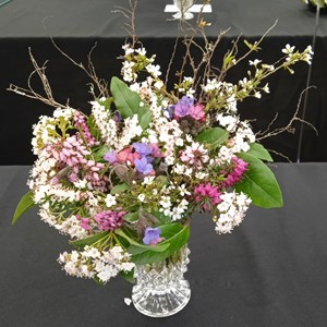 Mannings Heath & District Horticultural Society Photo Gallery