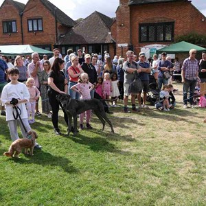 Goodworth Clatford Parish Council  Fete 2026 photos