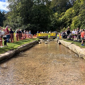 Louth & District Lions Duck Race