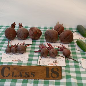 HBT Horticultural Society Photographs 2026