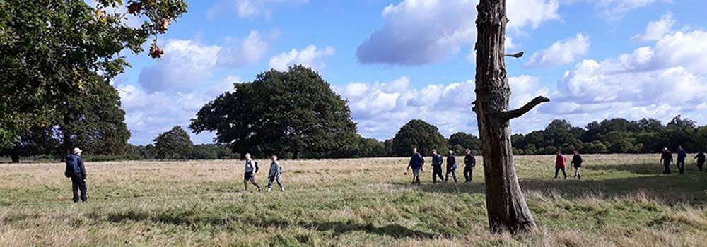 Walking through beautiful open meadows. ©EH