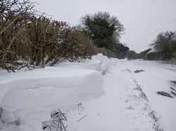 The Hollow Way