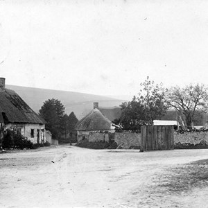 Cross road by candle stick Chestnut tree seen as a sapling