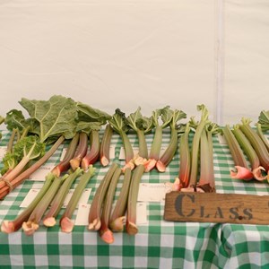 HBT Horticultural Society Photographs 2026