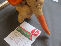 Margaret Harker Hall & Blofield Memorial Ground Blofield Gardening Club