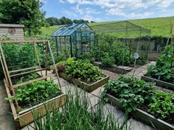 Martinstown Village Hall Open Gardens 2025