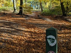 Cannock Wood Parish Council Walks