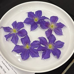 Mannings Heath & District Horticultural Society Photo Gallery