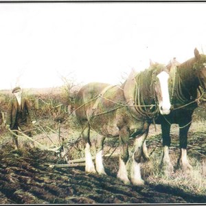 Mr William Mallinson at Beaver Farm before he retired to Hollow Creek Farm. Beaver Farm then became The Raffles Estate in Carlisle