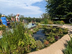 Martinstown Village Hall Open Gardens 2025