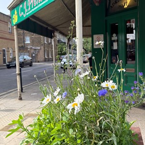 Planter outside Prentis Greengrocer