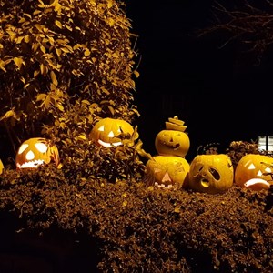 Maidford Parish Council Halloween