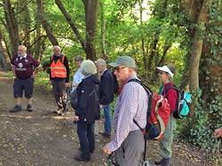 The group stopped to study an unusual sight on the walk . . . ©RPRP
