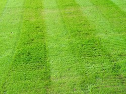 Whitstable Bowling Club Relaying new green 2024