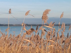 On the coast path in  January