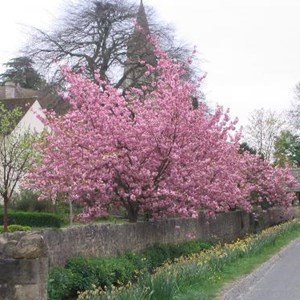 Springtime