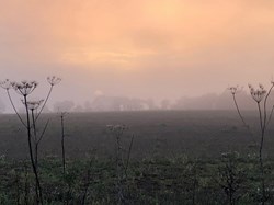 Back of The Dene towards Esseborne, last day of 2020 - credit:  Judy Turley