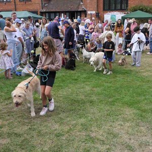 Goodworth Clatford Parish Council  Fete 2026 photos