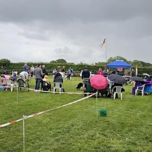 Whixall Social Centre Whixall Companion Dog Show 2024