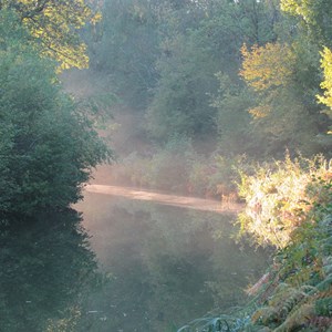 FACE-IT Image gallery